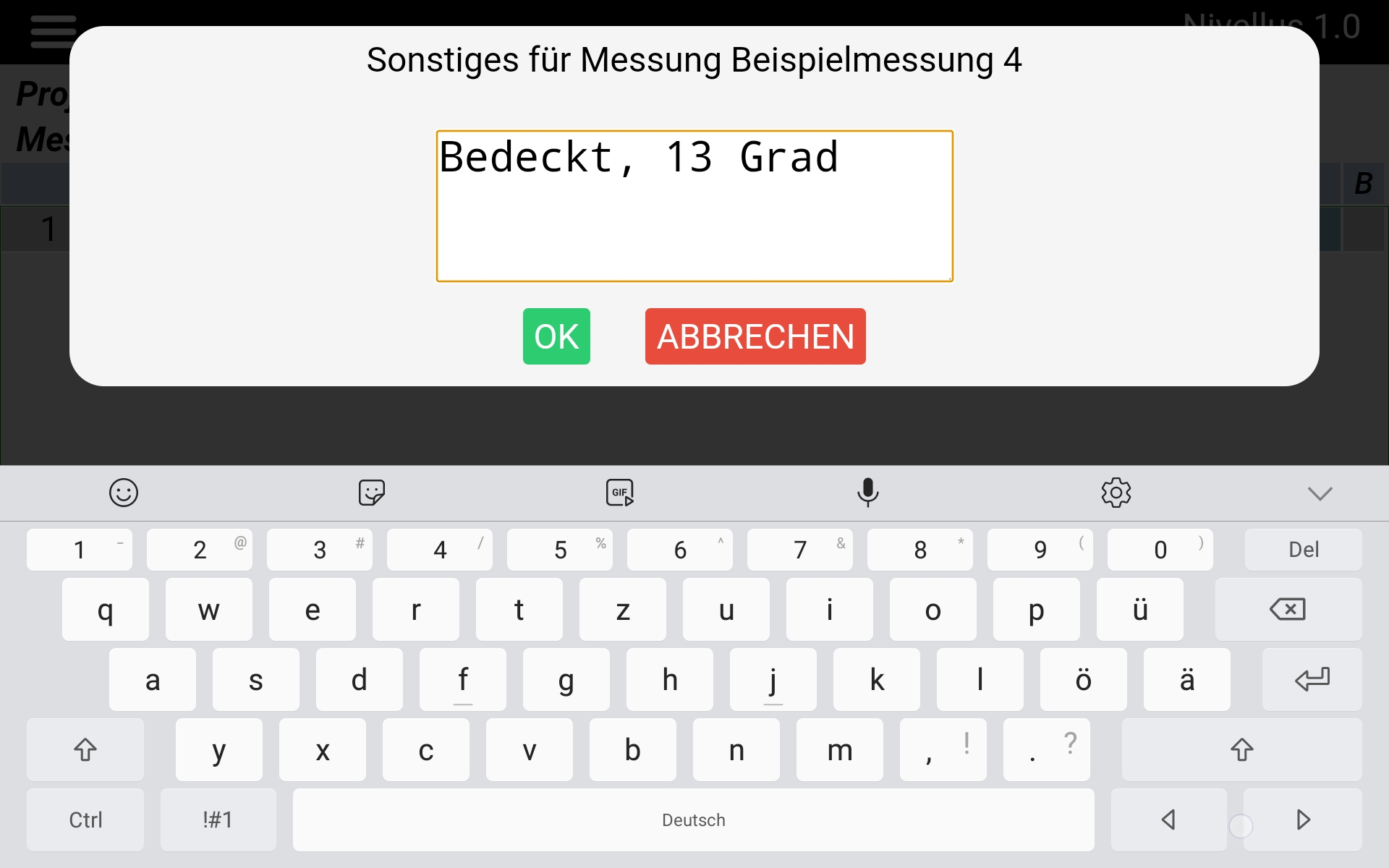 Eingabe Sonstiges für Beispielmessung